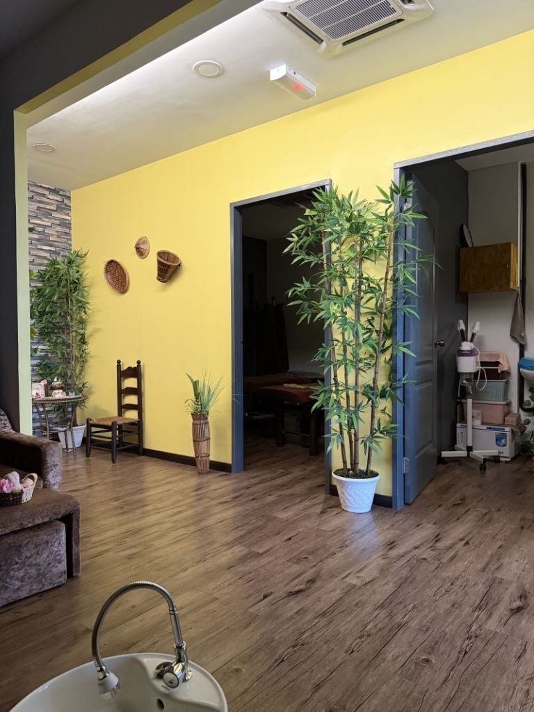 Aora Spa & Wellness Papar